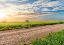 Hammam Chatt&nbsp;Borj Cedria&nbsp;Terrain&nbsp;Terrain nu&nbsp;Un terrain 332m a borj cedria