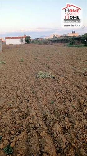 Bou Mhel El Bassatine Bou Mhel Terrain Terrain nu Terrain promoteur nelig  boumhal