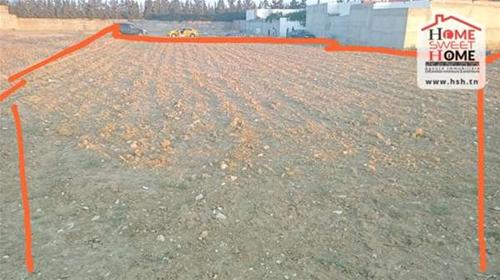 Nouvelle Medina Nouvelle Medina Terrain Terrain nu Terrain promoteur nilla  la nouvelle mdina