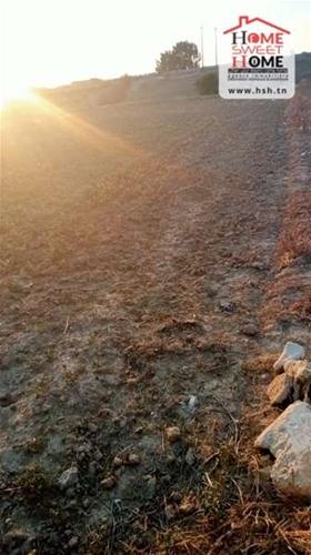 Nouvelle Medina Nouvelle Medina Terrain Terrain nu Terrain promoteur nilla  la nouvelle mdina