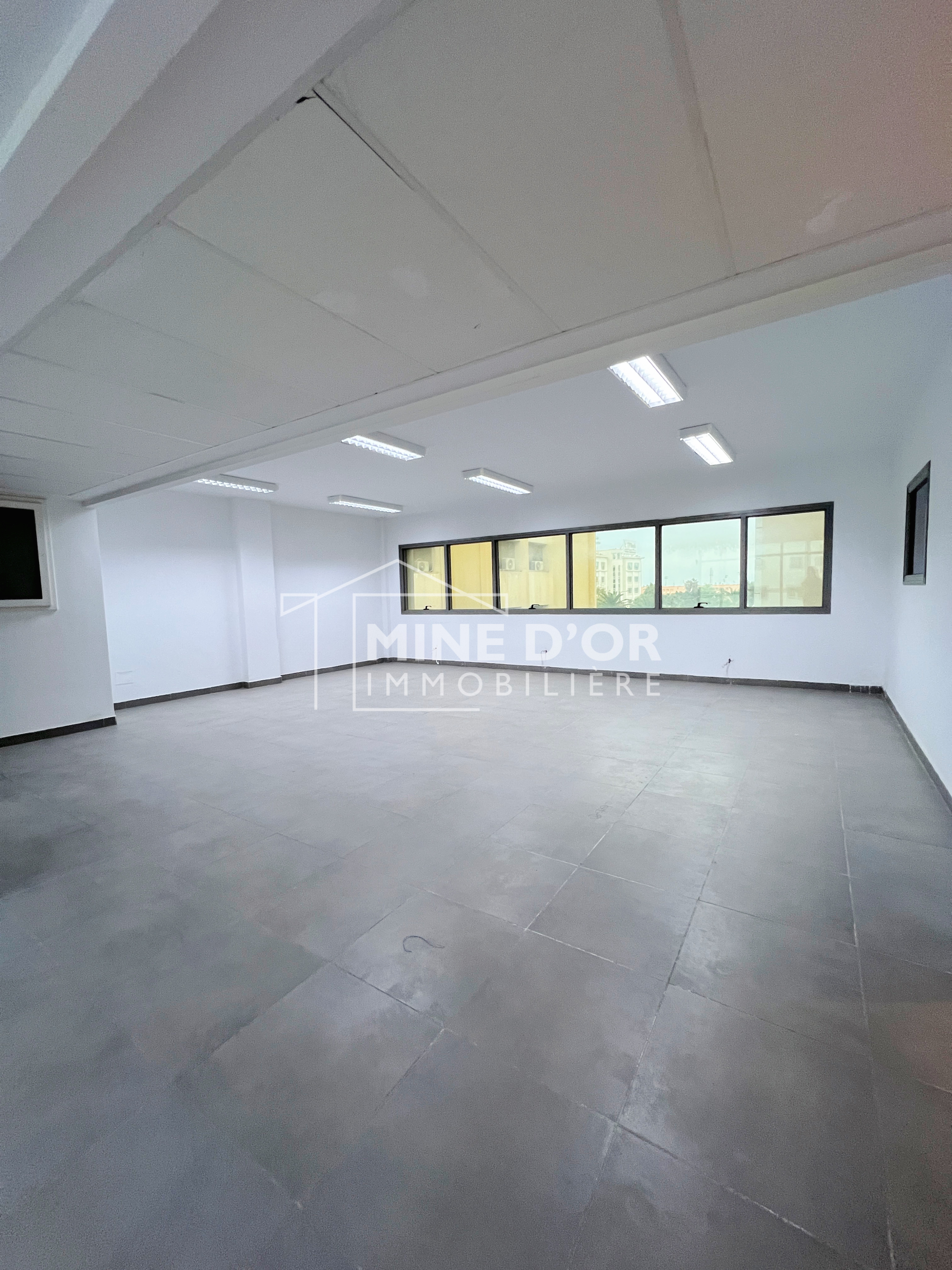 Bab Bhar&nbsp;Republique&nbsp;Bureaux & Commerces&nbsp;Bureau&nbsp;Des plateaux a mohamed 5 tunis