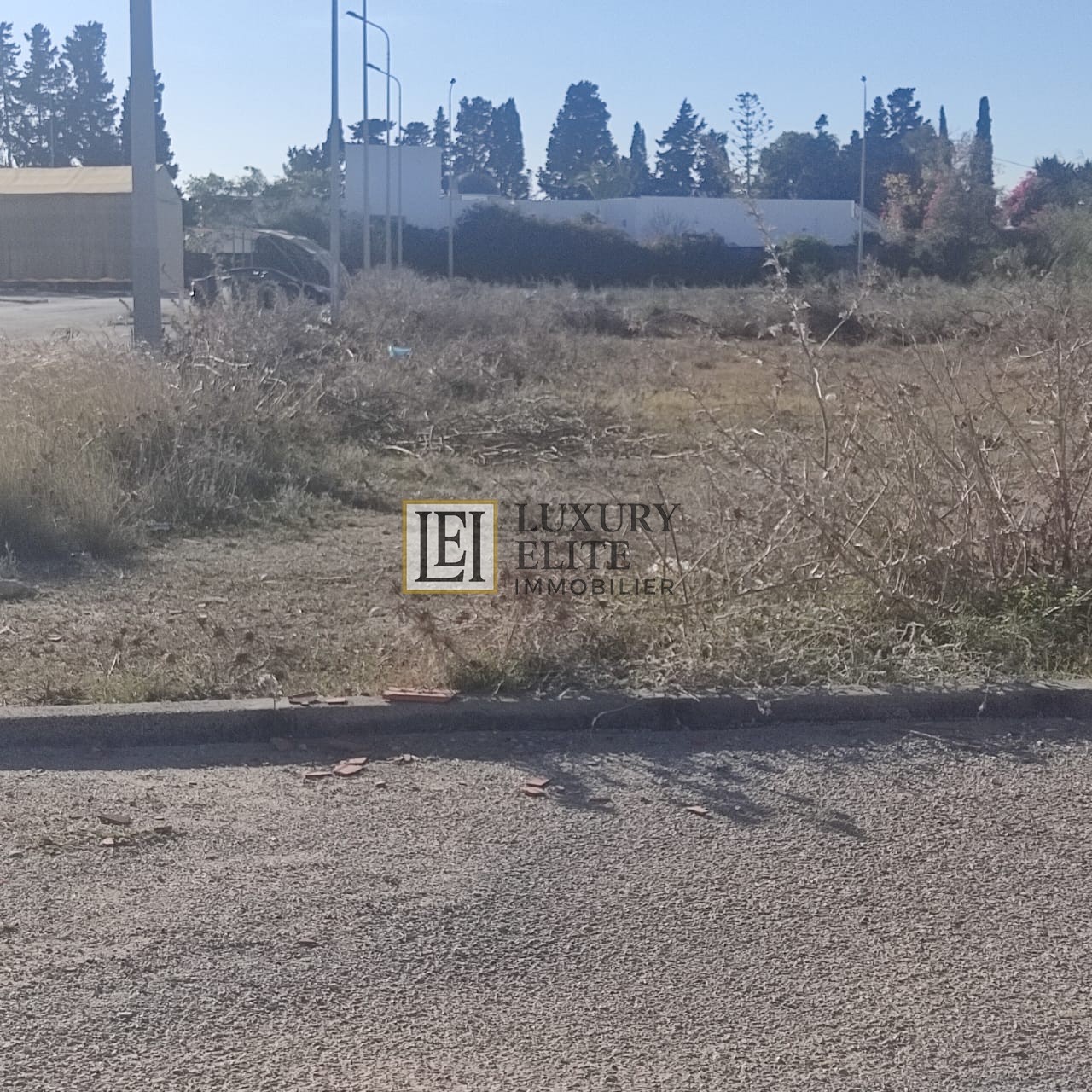 Hammamet&nbsp;Barraket Essahel&nbsp;Terrain&nbsp;Terrain nu&nbsp;Terrain pour promoteur immobilier