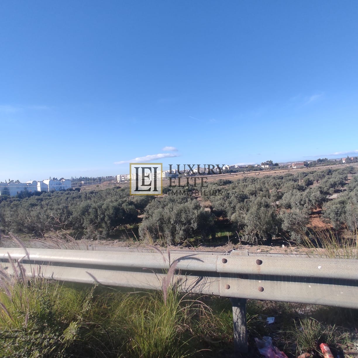 Hammamet Hammamet Terrain Terrain nu Terrain idale pour promoteurs immobiliers