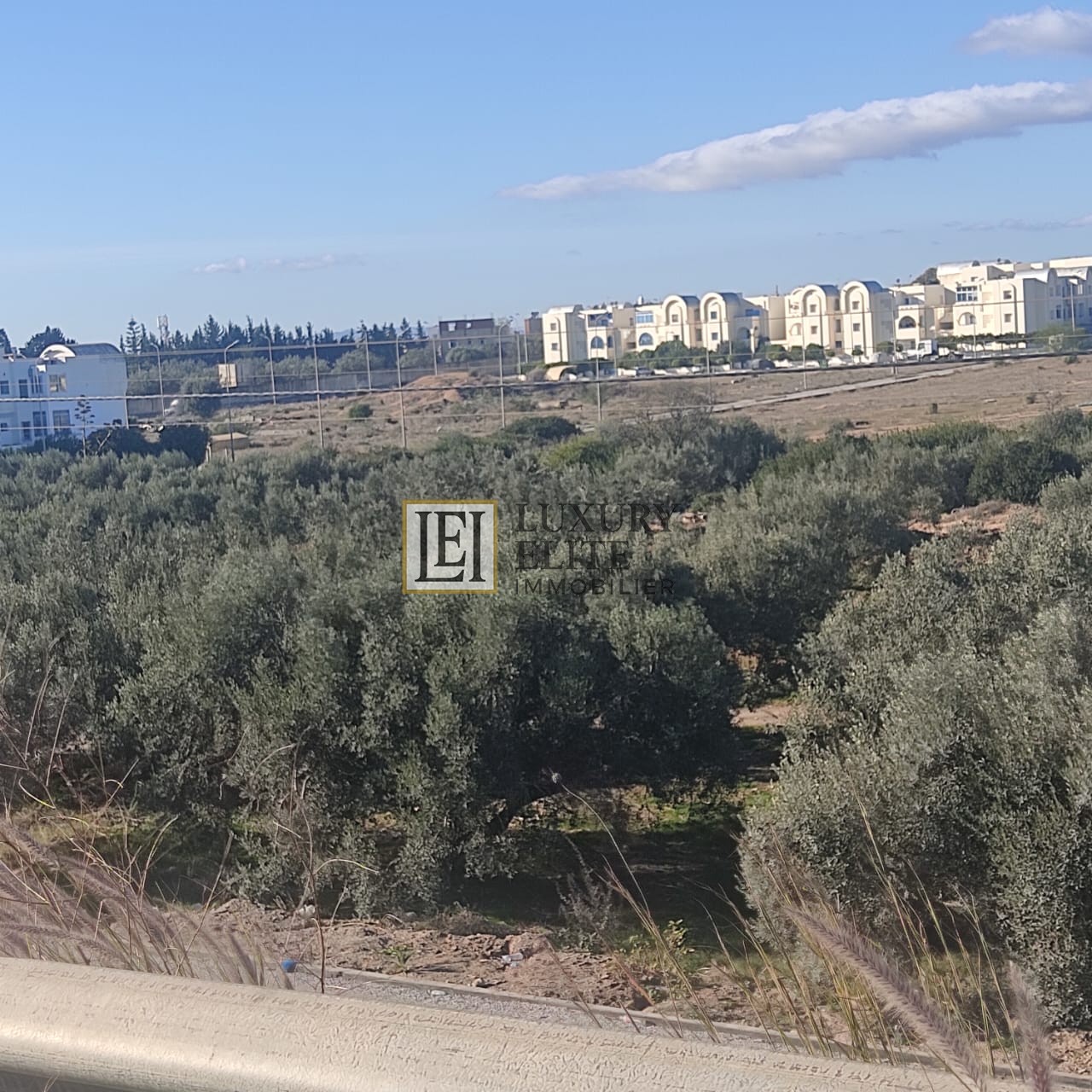 Hammamet Hammamet Terrain Terrain nu Terrain idale pour promoteurs immobiliers