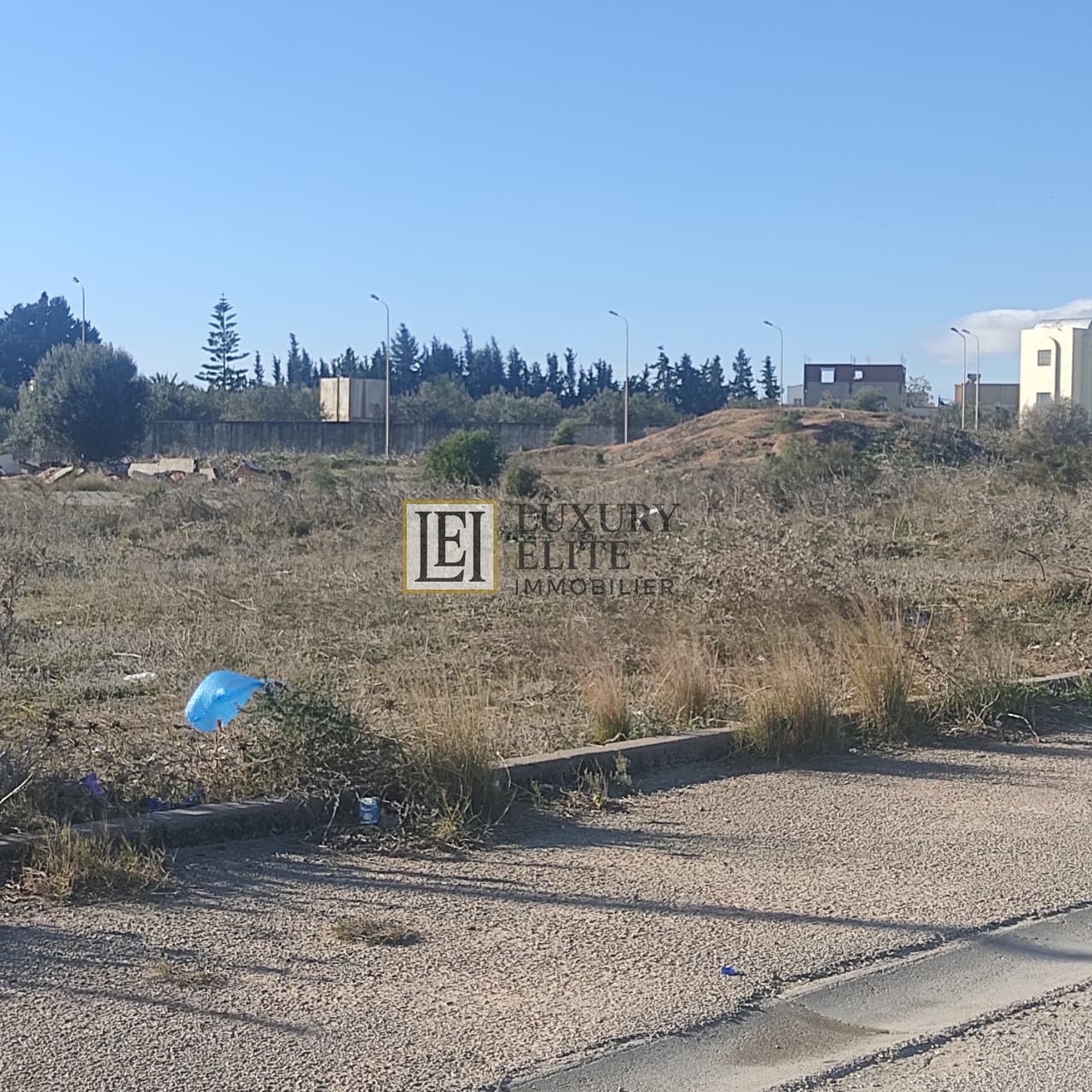 Hammamet Hammamet Terrain Terrain nu Terrain idale pour promoteurs immobiliers