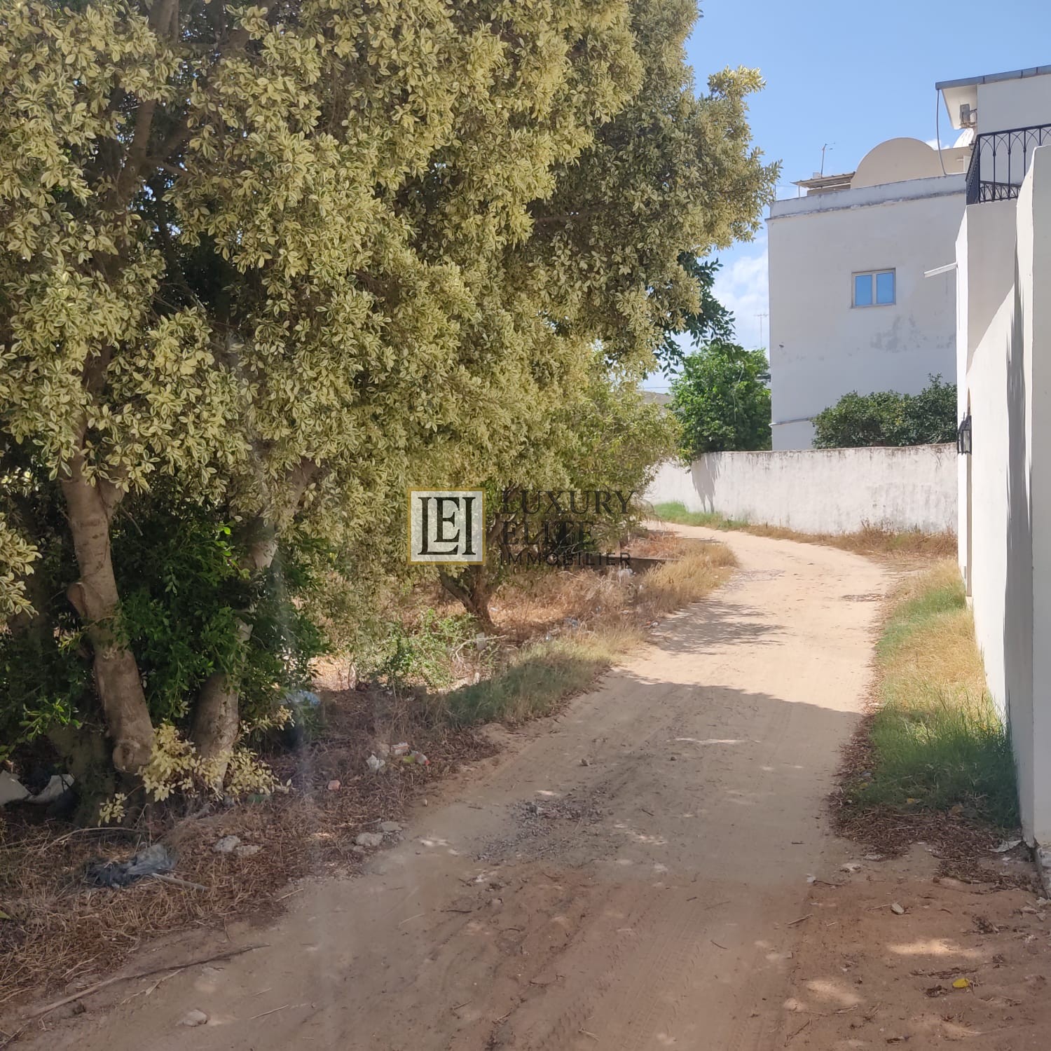 Hammamet Hammamet Terrain Terrain nu Terrain plein centre de hammamet