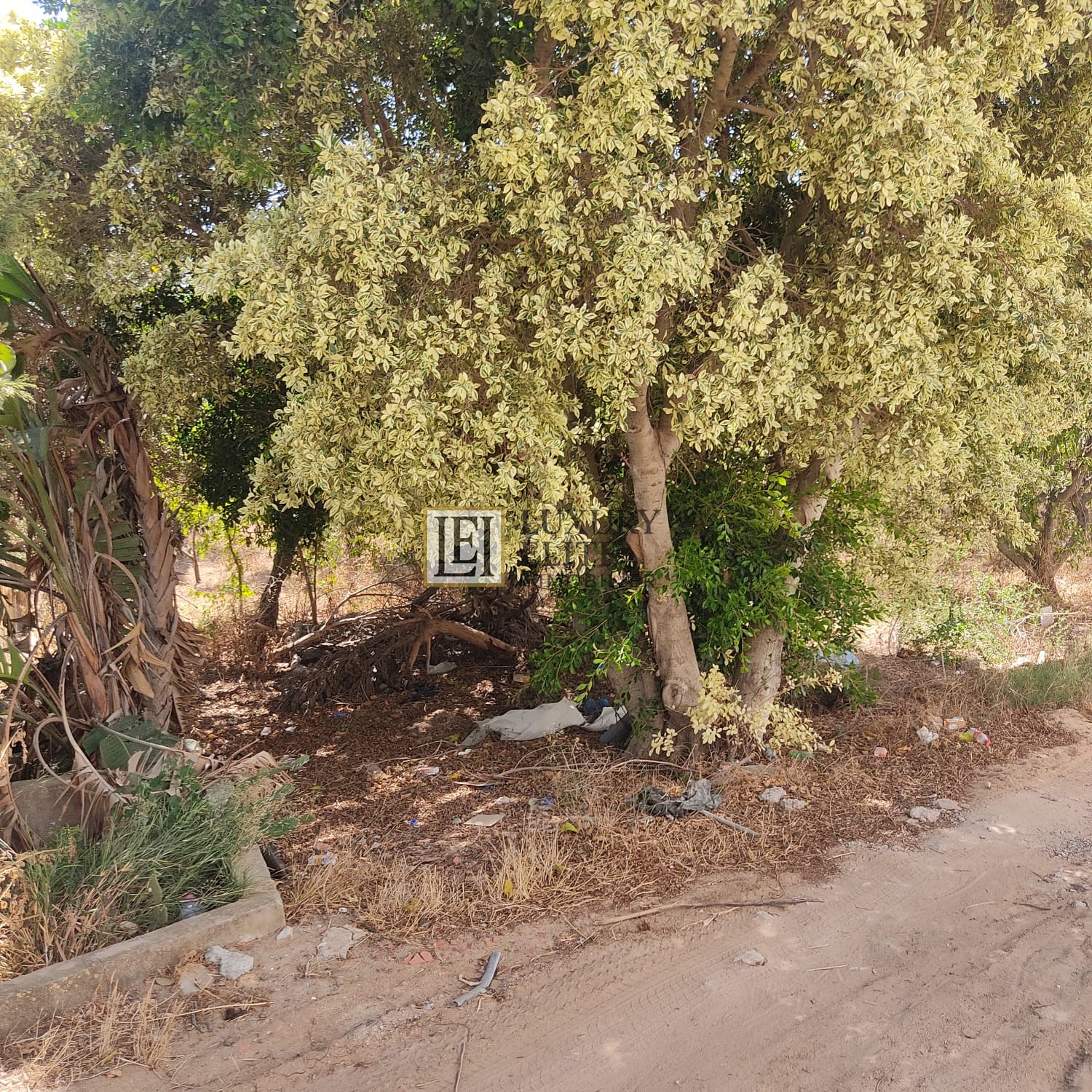 Hammamet Hammamet Terrain Terrain nu Terrain plein centre de hammamet