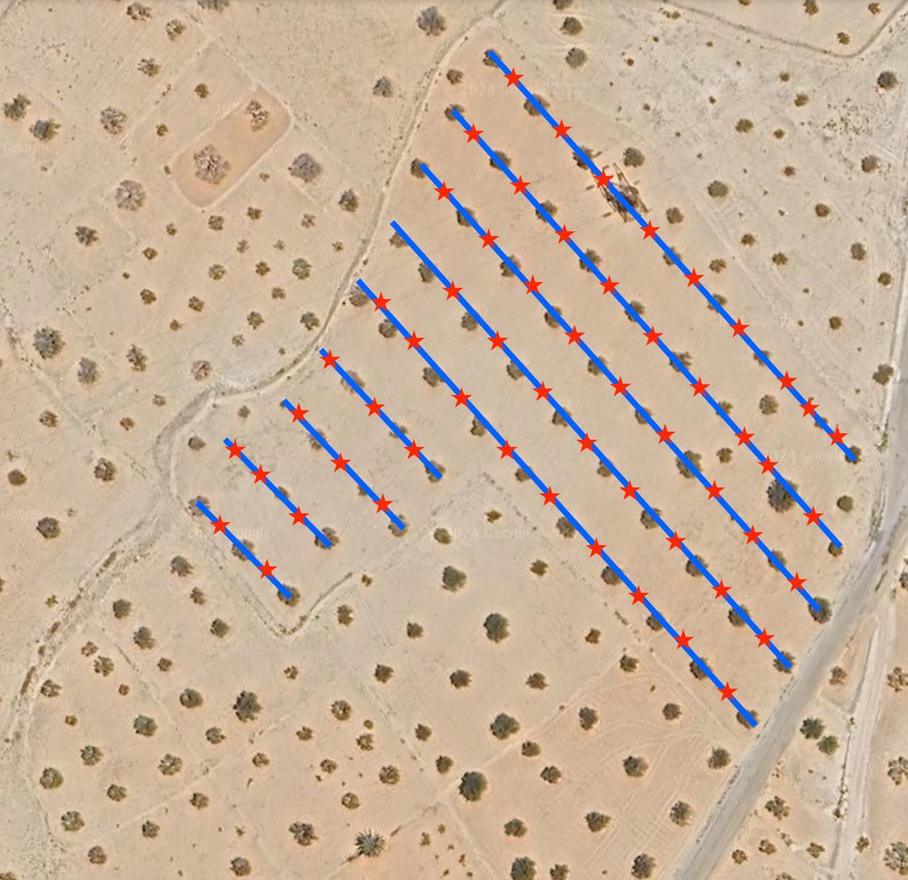 Djerba - Midoun&nbsp;Robbana&nbsp;Terrain&nbsp;Terrain agricole&nbsp;Terrain agricole a djerba sur route principale