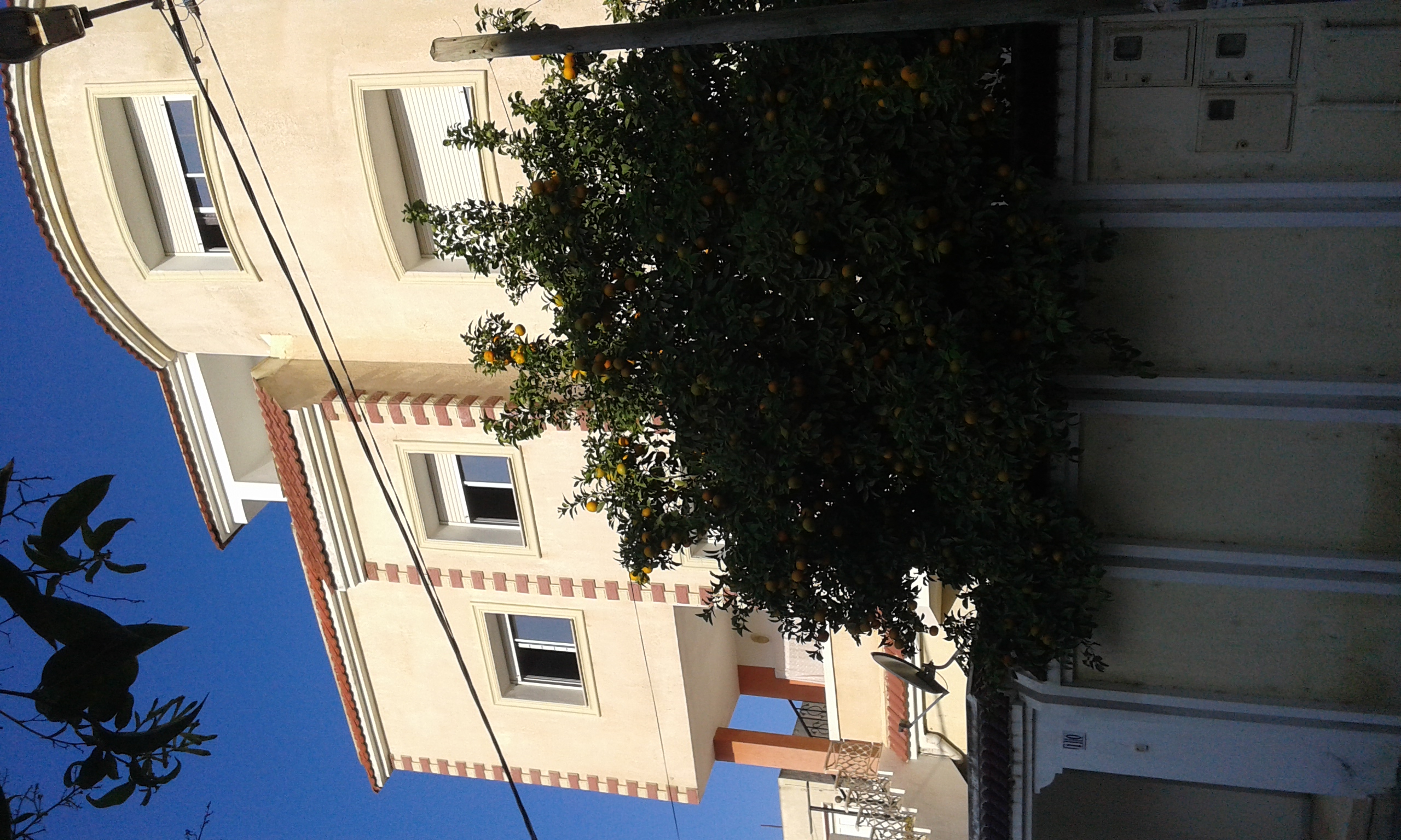 El Mourouj El Mourouj Location Autre Studio s 1