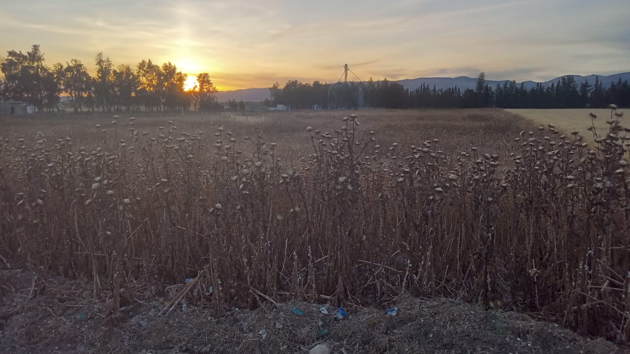 Bou Salem Bou Salem Terrain Terrain agricole Terrain agricole