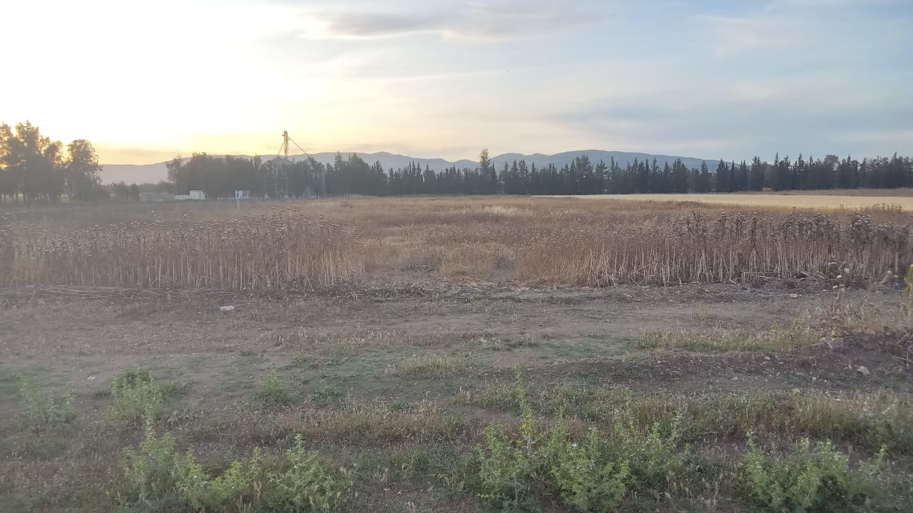 Bou Salem Bou Salem Terrain Terrain agricole Terrain agricole