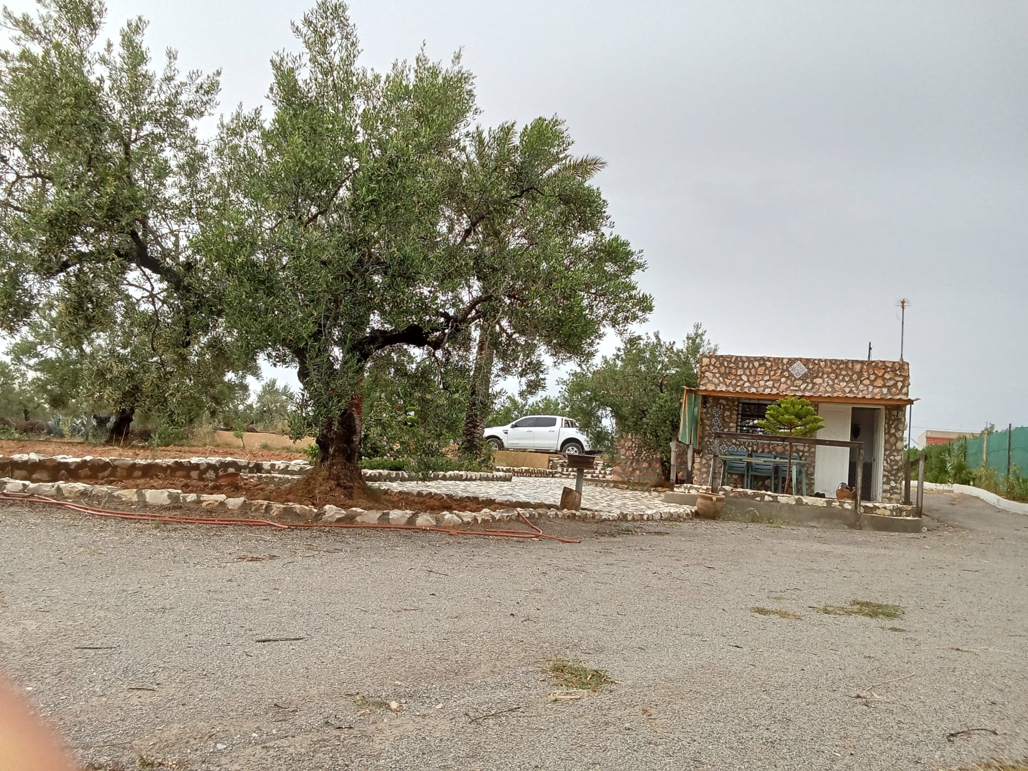 Kalaa El Kebira Kalaa El Kebira Terrain Terrain agricole Terrain a el henya
