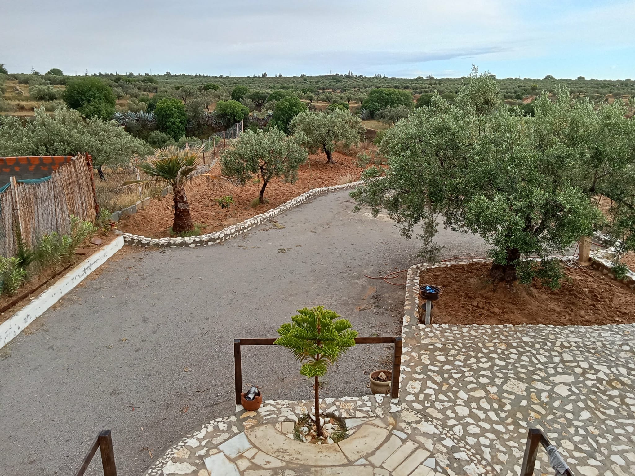 Kalaa El Kebira Kalaa El Kebira Terrain Terrain agricole Terrain a el henya