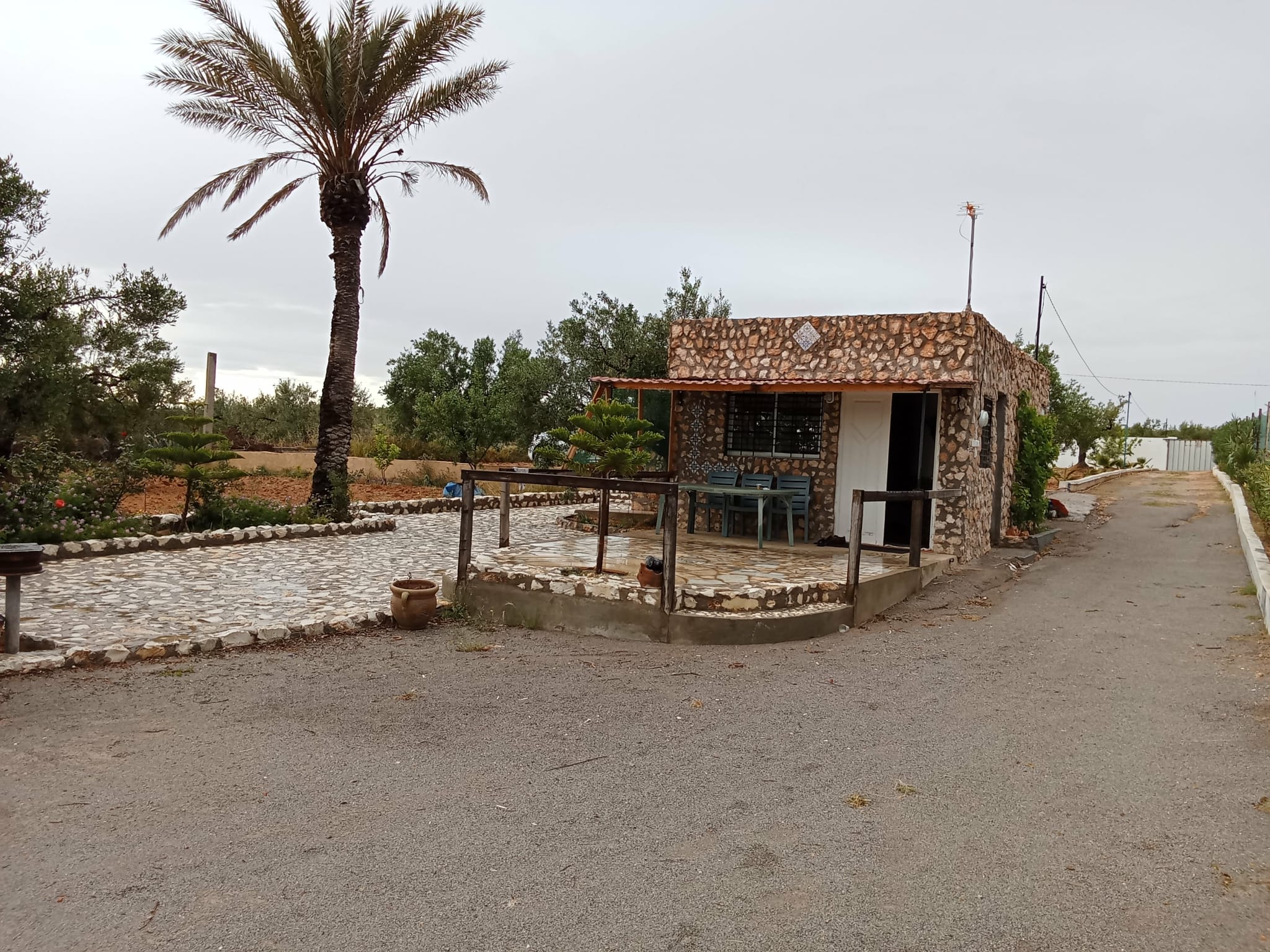 Kalaa El Kebira Kalaa El Kebira Terrain Terrain agricole Terrain a el henya