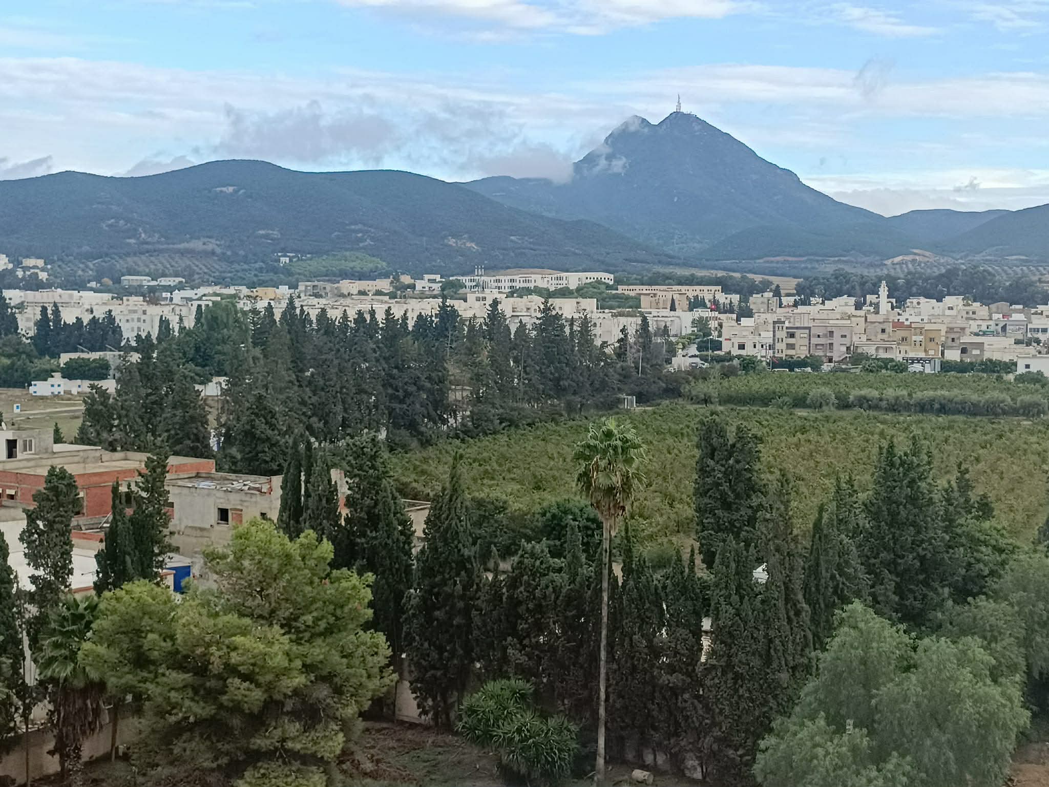 Bou Mhel El Bassatine Bou Mhel Location Appart. 1 pice Appartement hs boumhel