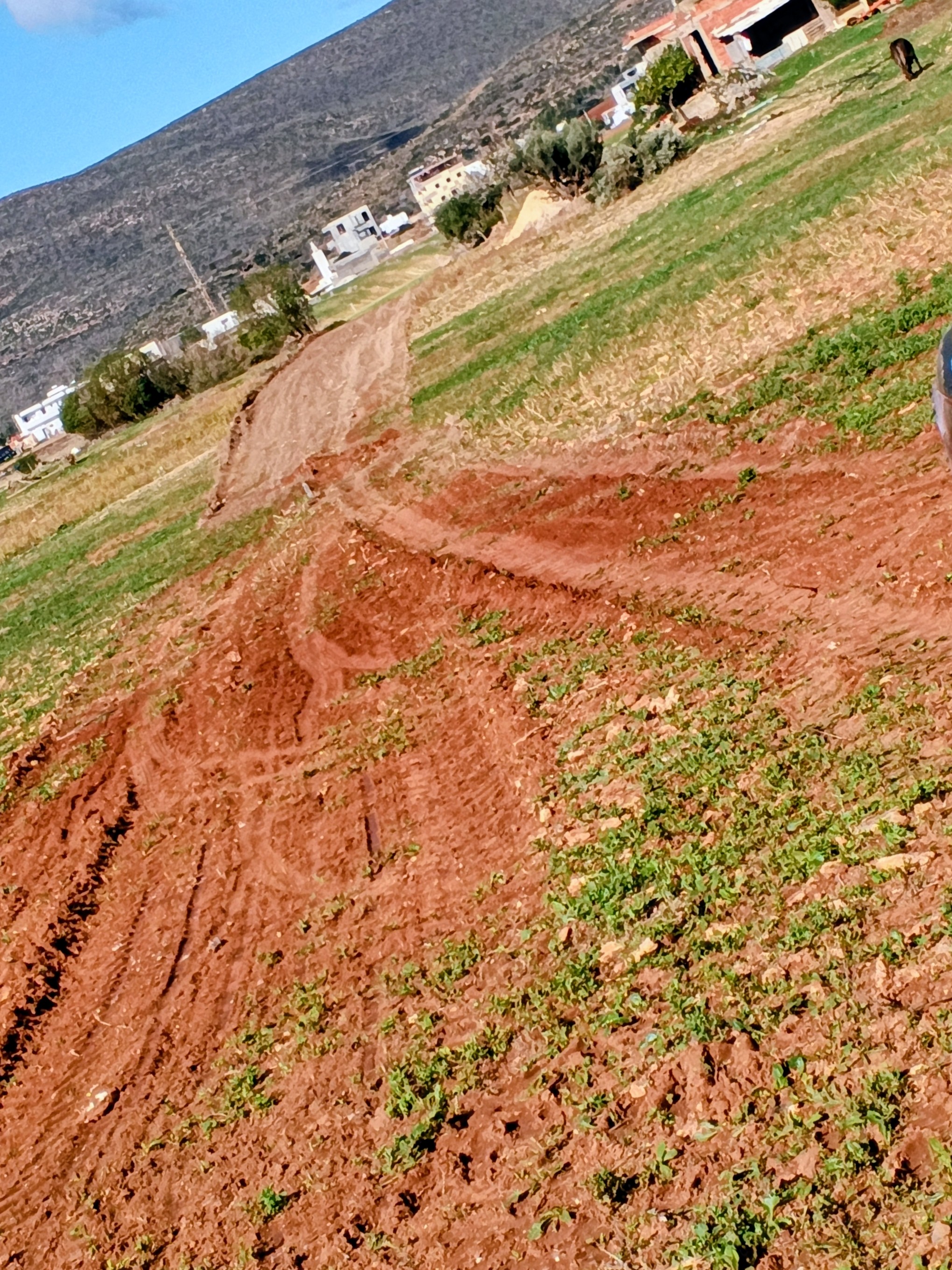 El Haouaria&nbsp;Cite Touristique&nbsp;Terrain&nbsp;Terrain nu&nbsp;Des lots � el haouaria plage