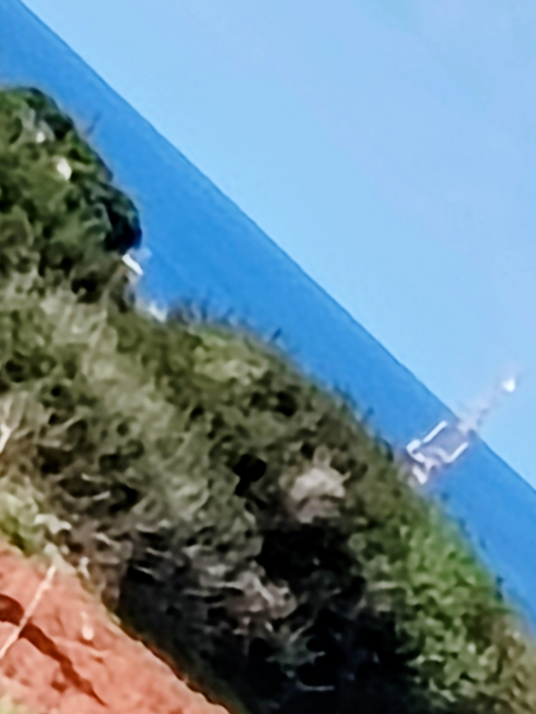 El Haouaria&nbsp;Cite Touristique&nbsp;Terrain&nbsp;Terrain nu&nbsp;Des lots � el haouaria plage