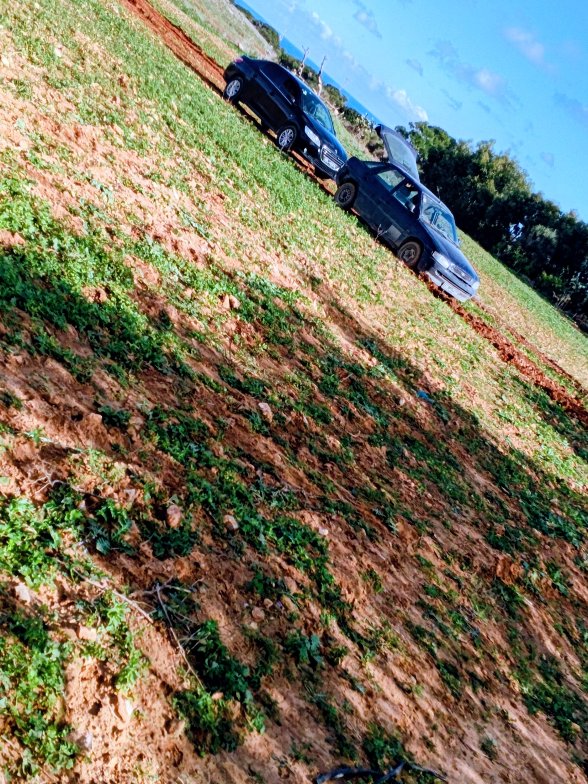 El Haouaria&nbsp;Cite Touristique&nbsp;Terrain&nbsp;Terrain nu&nbsp;Des lots � el haouaria plage