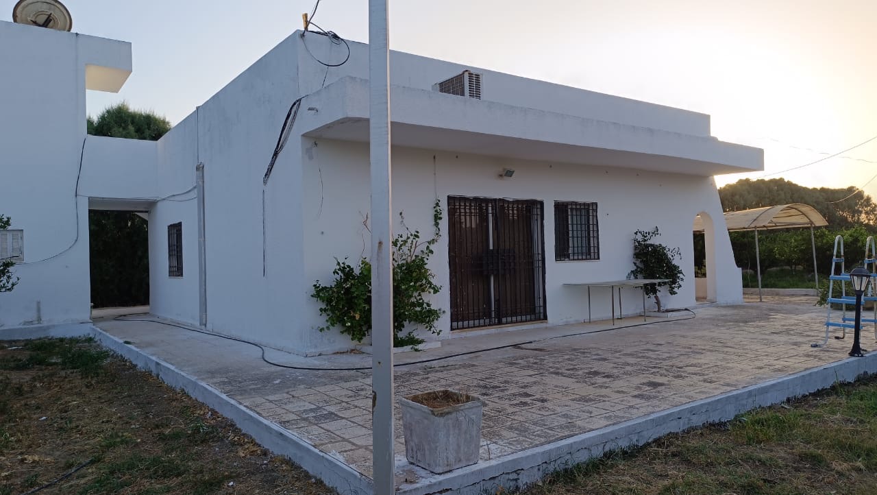 Menzel Bouzelfa Menzel Bouzelfa Vente Autre Senia agrumes de 6 hectares  menzel bouzelfa