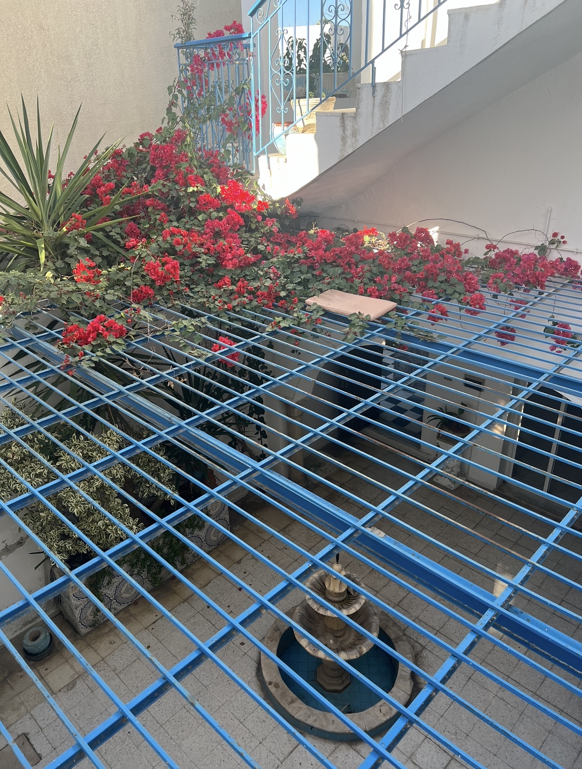 Le Bardo Le Bardo Vente Maisons Maison situ sur l avenue bayrem tounsi bardo