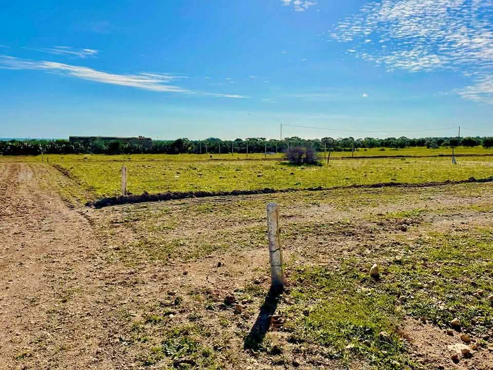 Bou Ficha Bou Ficha Terrain Terrain nu Terrain bou ficha 2688dt seulement