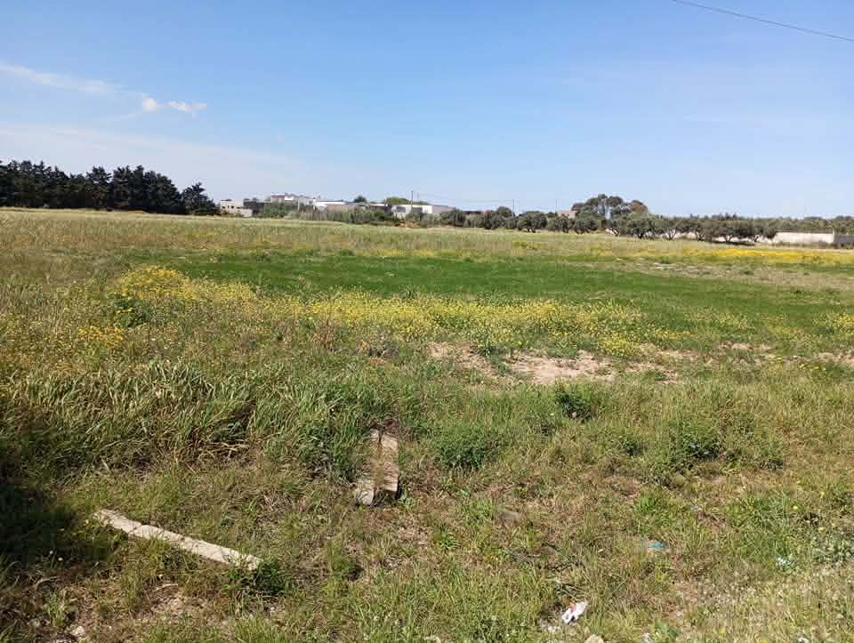 El Haouaria&nbsp;El Haouaria&nbsp;Terrain&nbsp;Terrain nu&nbsp;Des terrains a hawaria sur route principale