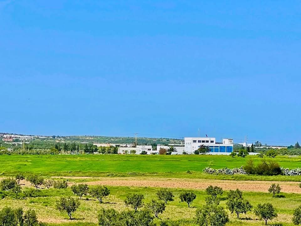 Bou Ficha&nbsp;Bou Ficha&nbsp;Terrain&nbsp;Terrain nu&nbsp;Des terrains a bouficha sousse