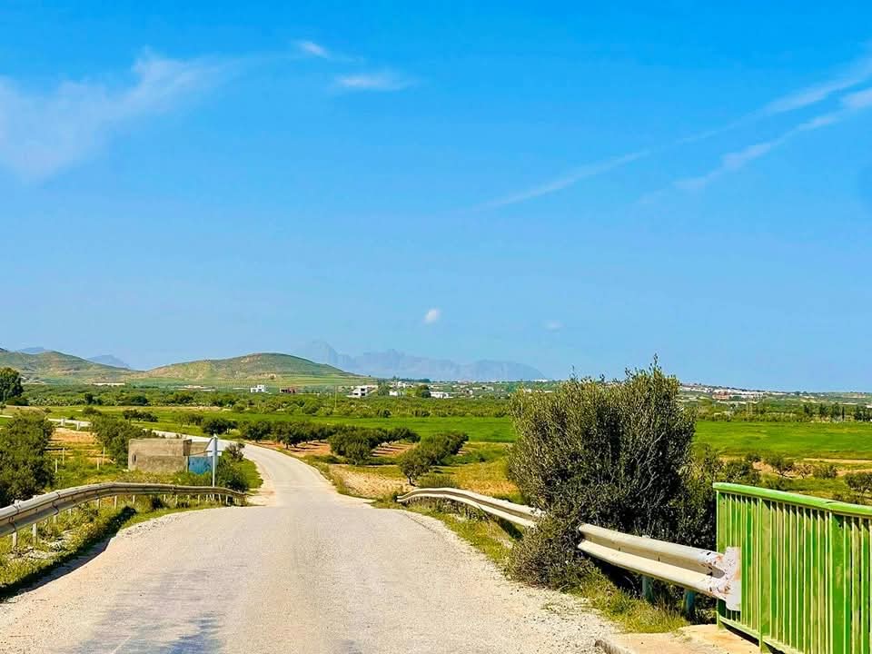 Bou Ficha Bou Ficha Terrain Terrain agricole Bouficha sousse