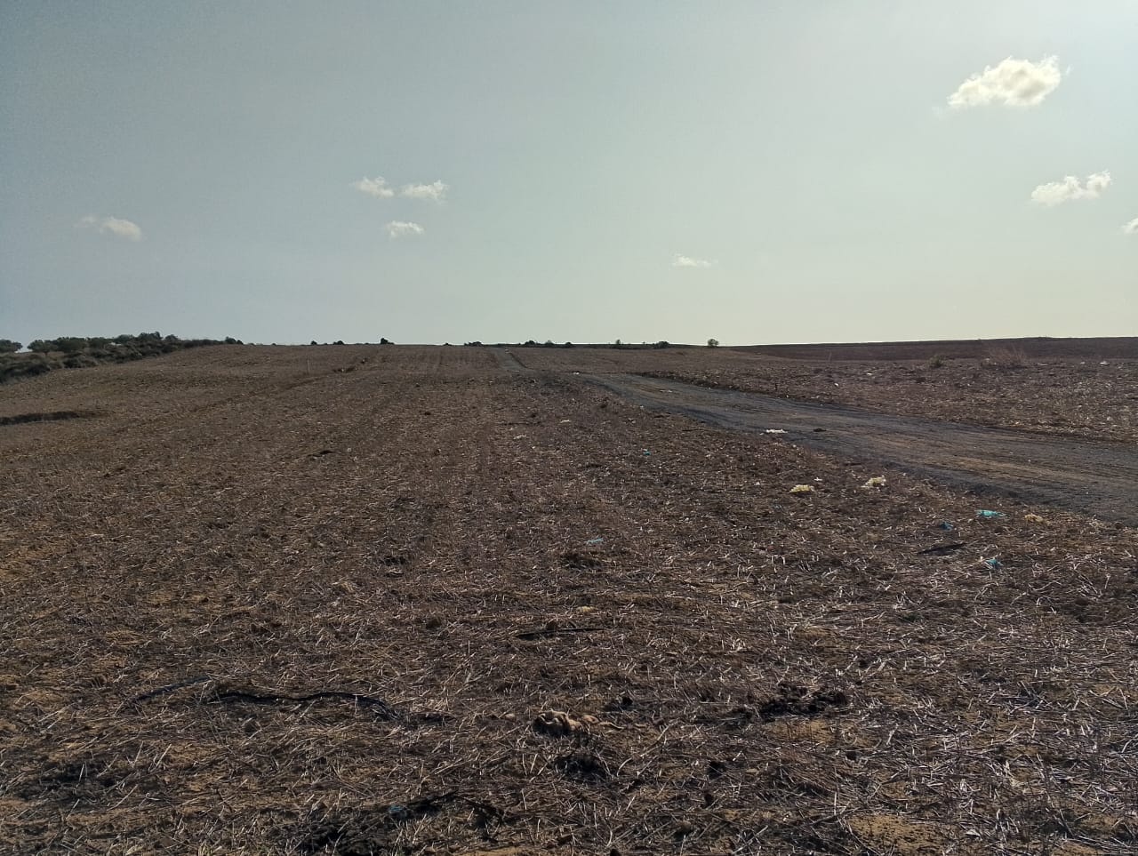 Kelibia Azmour Terrain Terrain agricole Terrain azmour