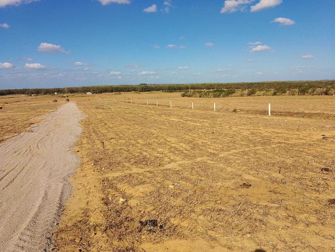 Kelibia Azmour Terrain Terrain agricole Terrain azmour kelibia