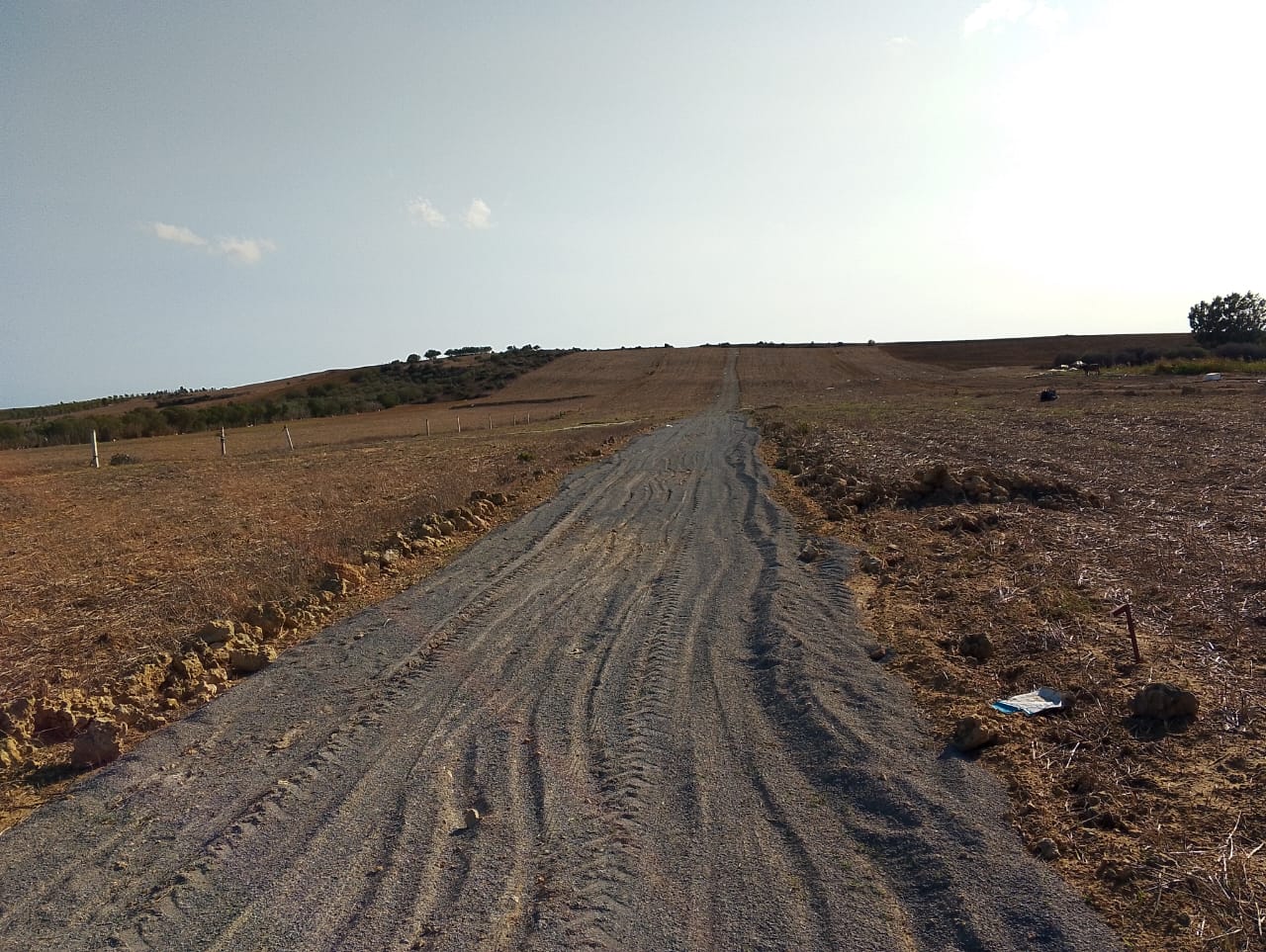 Kelibia Azmour Terrain Terrain agricole Terrain azmour kelibia