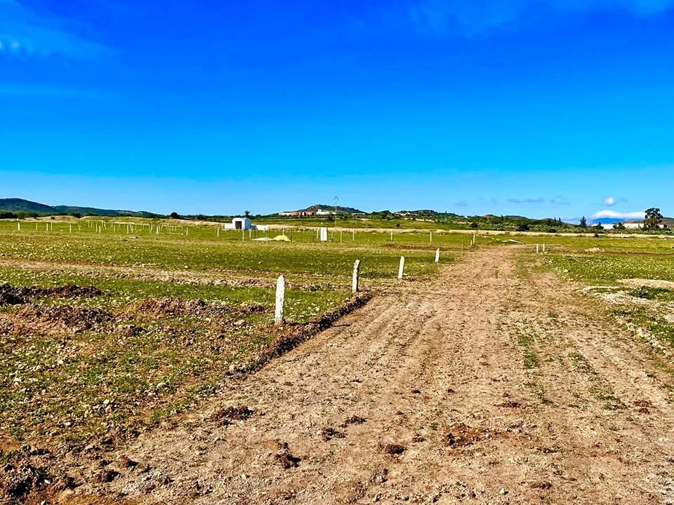 Bou Ficha Bou Ficha Terrain Terrain agricole Sousse bouficha terrain