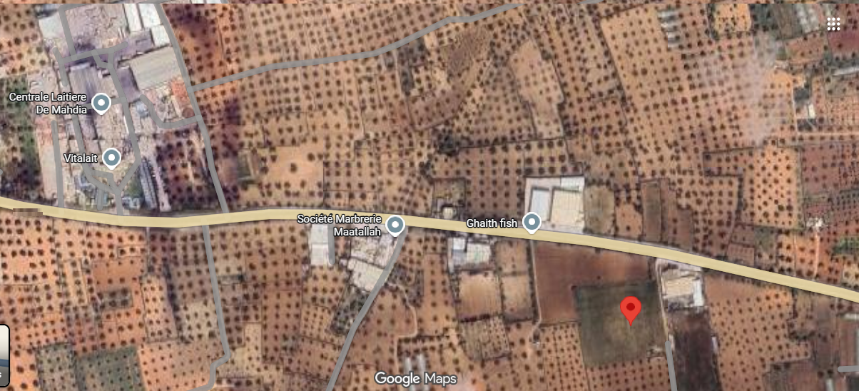Mahdia Mahdia Terrain Terrain agricole Deux lots de terrain agricole