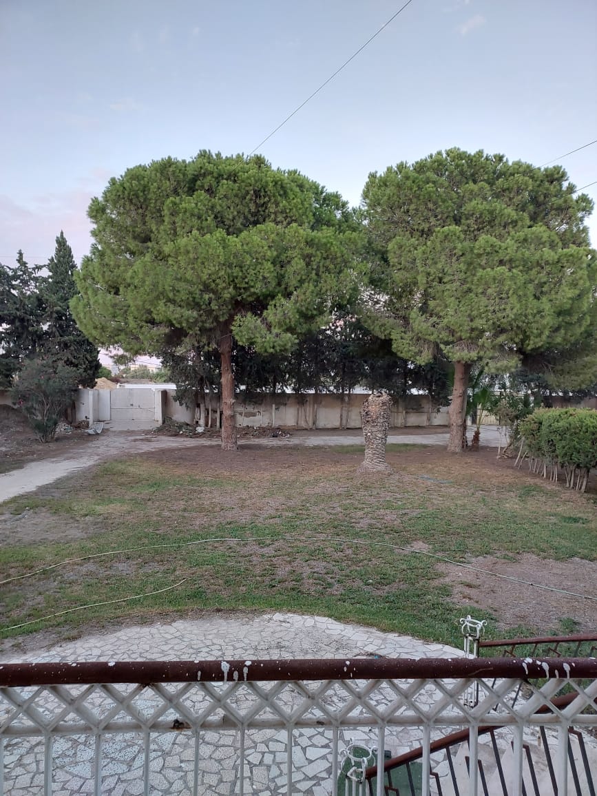 La Soukra&nbsp;Chotrana 1&nbsp;Location&nbsp;Maisons&nbsp;Villa s3 avec grand jardin � la soukra