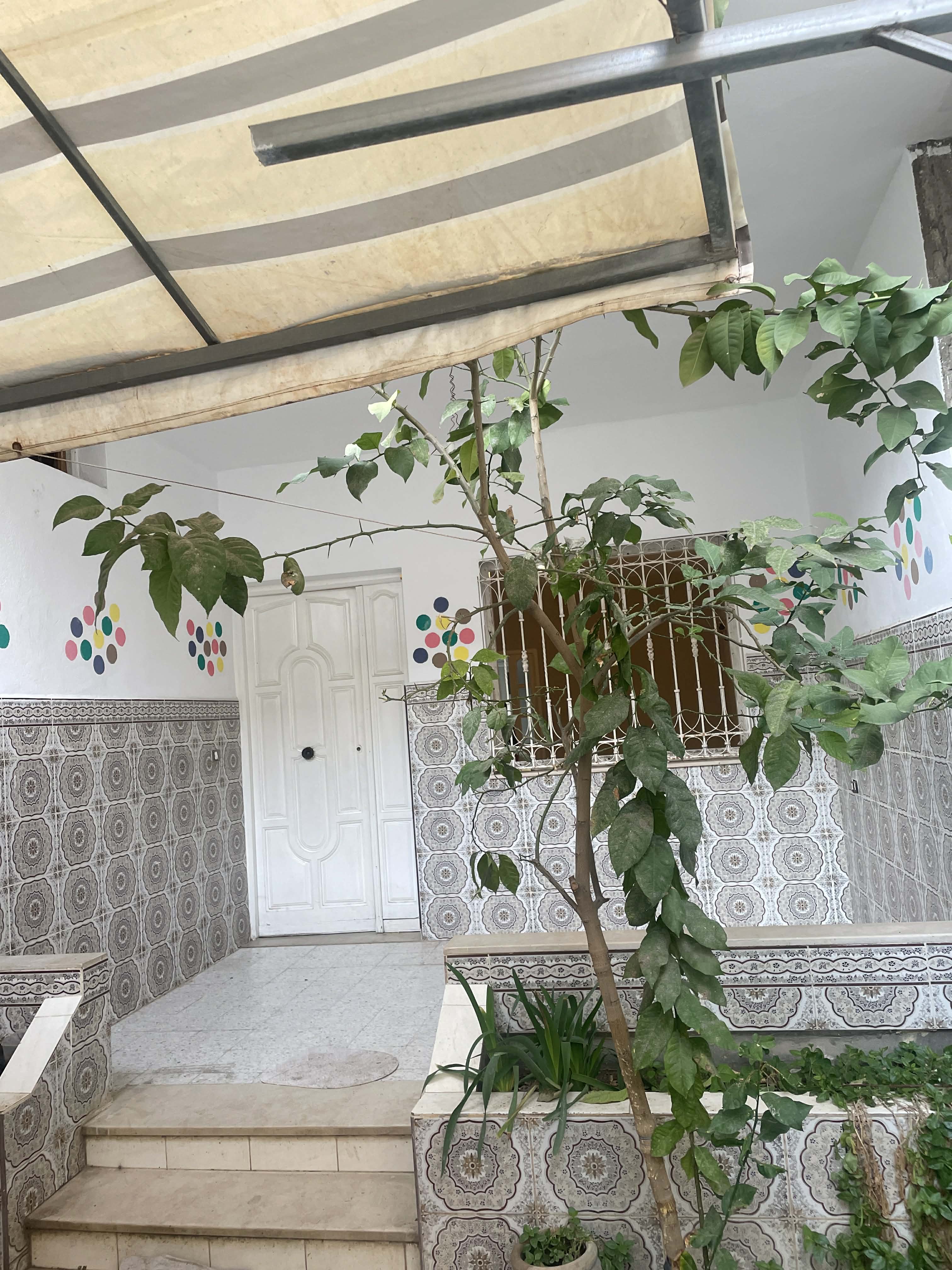 Ezzouhour (Tunis)&nbsp;Cite Ezzouhour&nbsp;Location&nbsp;Maisons&nbsp;Maison s3 a cite ezzouhour 2