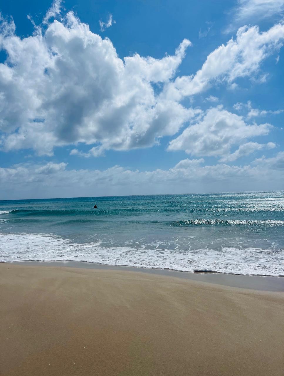 El Haouaria&nbsp;El Haouaria&nbsp;Vente&nbsp;Surfaces&nbsp;Le terrain a el hawaria