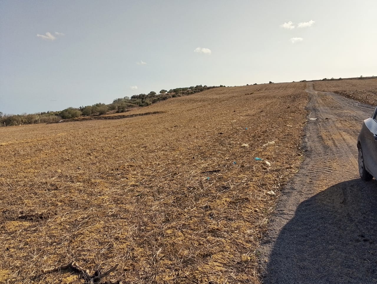 Kelibia&nbsp;Azmour&nbsp;Vente&nbsp;Surfaces&nbsp;Terrain id�al  � azmour