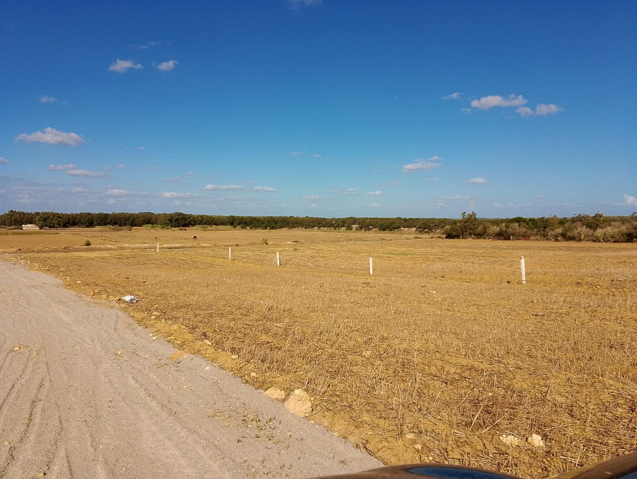 Kelibia&nbsp;Azmour&nbsp;Terrain&nbsp;Terrain nu&nbsp;Opportunit� terrain  azmour