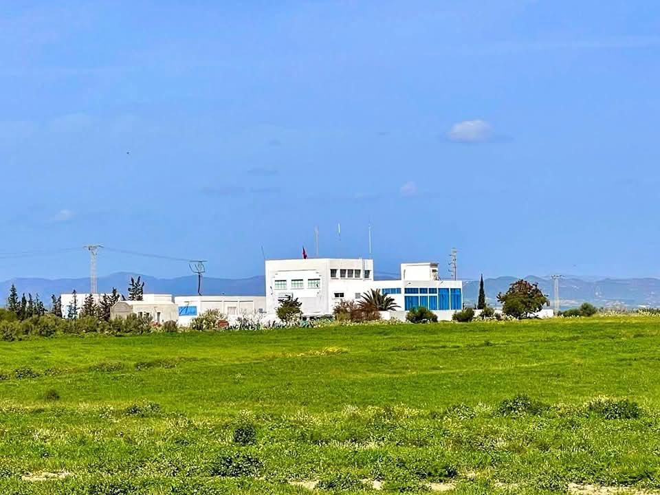 Bou Ficha&nbsp;Bou Ficha&nbsp;Terrain&nbsp;Terrain agricole&nbsp;Terrain a situe a bou ficha 406 m2 a 47000 dt