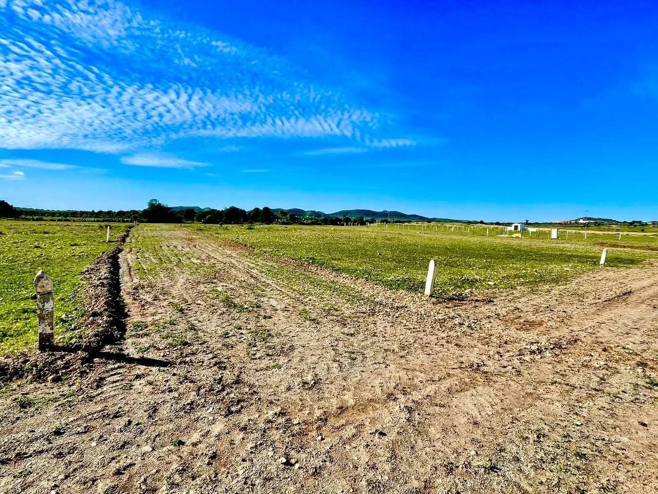 Bou Ficha&nbsp;Bou Ficha&nbsp;Terrain&nbsp;Terrain agricole&nbsp;Terrain 408 m2 a 88000