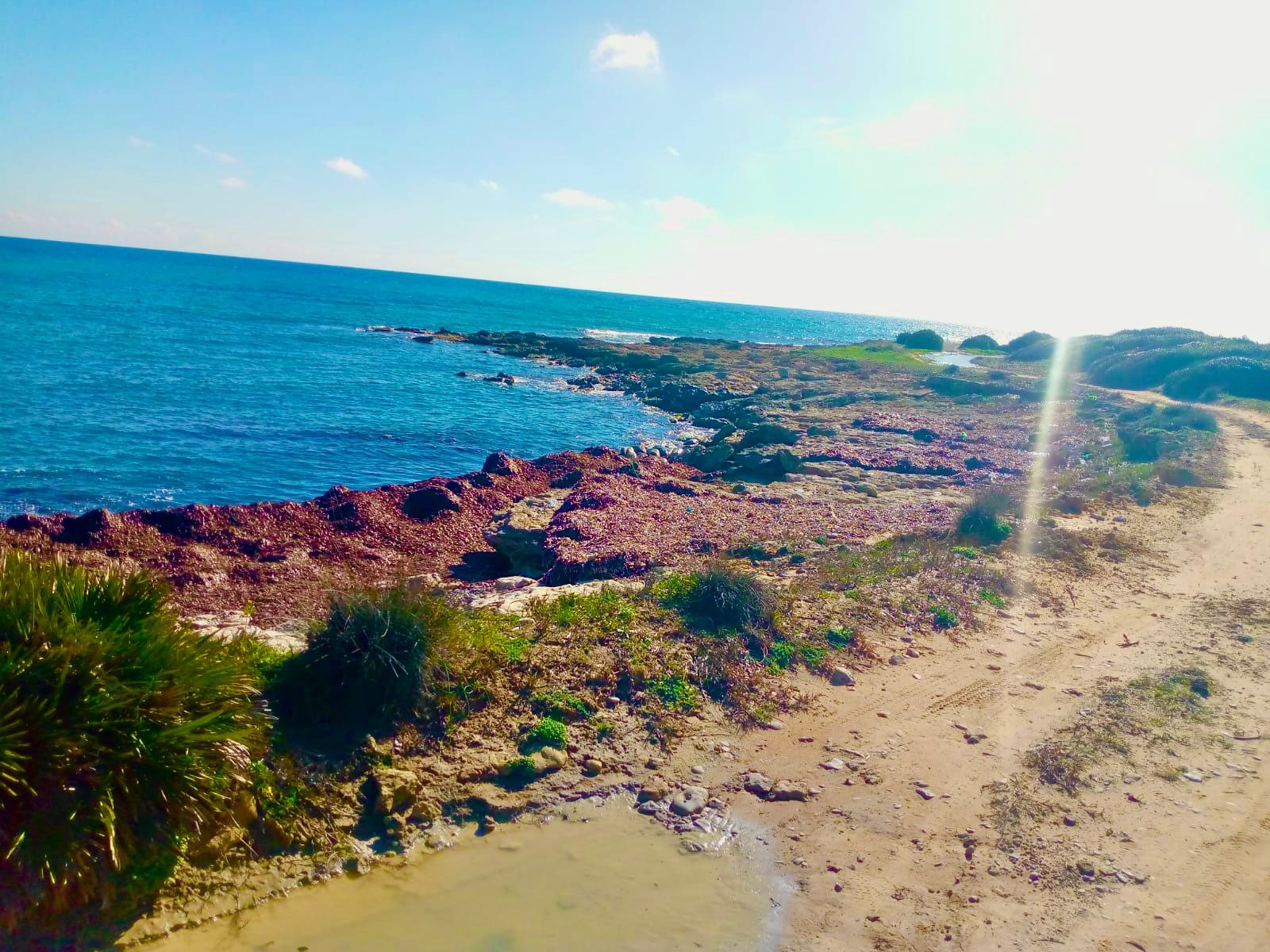 El Haouaria&nbsp;El Haouaria&nbsp;Terrain&nbsp;Terrain nu&nbsp;Terrain a kerkoiane 250 m2 a 87000