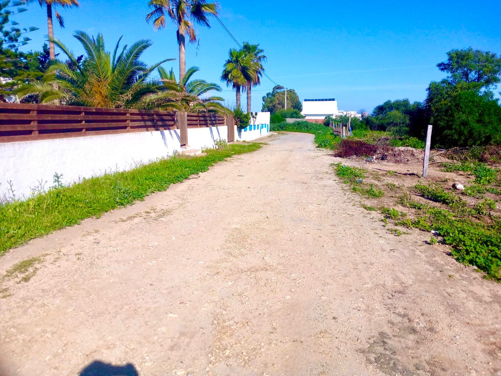 Kelibia&nbsp;Kerkouane&nbsp;Terrain&nbsp;Terrain agricole&nbsp;Terrain a kerkoune 250m2 a 75000