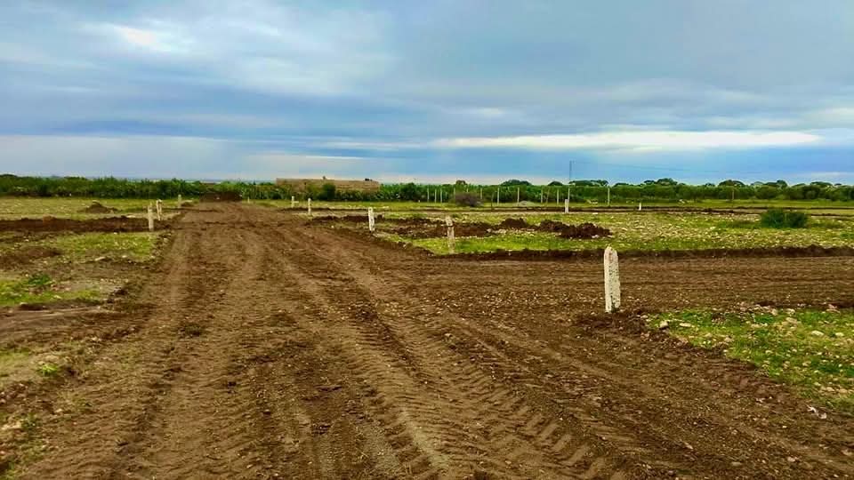 Bou Ficha&nbsp;Bou Ficha&nbsp;Terrain&nbsp;Terrain nu&nbsp;Terrain a situe a bou ficha 442 m2 a 50 000 dt