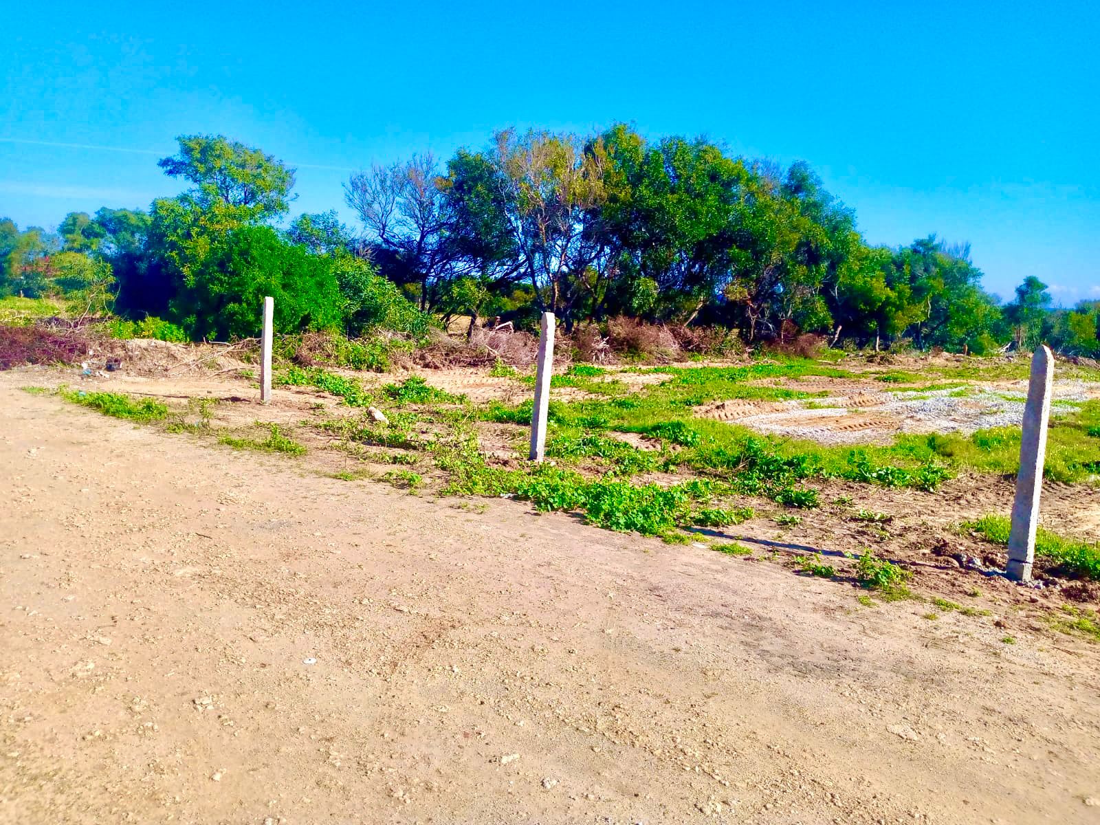 Kelibia&nbsp;Kerkouane&nbsp;Terrain&nbsp;Terrain nu&nbsp;Terrain  a kerkouane  a  bas prix