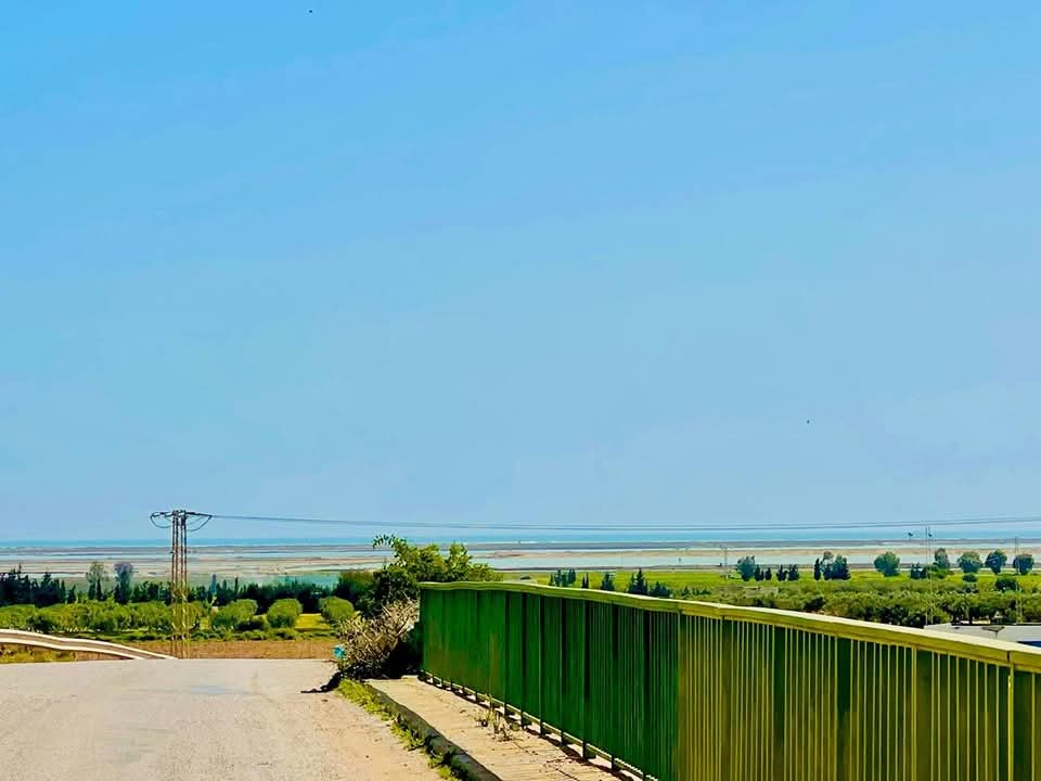 Bou Ficha&nbsp;Ain Errahma&nbsp;Terrain&nbsp;Terrain nu&nbsp;Terrain disponible