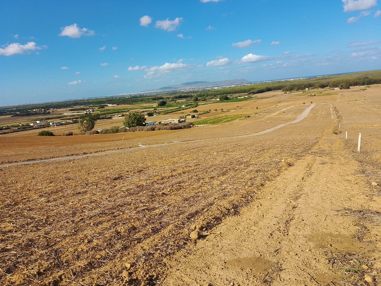 Kelibia&nbsp;Azmour&nbsp;Terrain&nbsp;Terrain nu&nbsp;Kelibia azmour