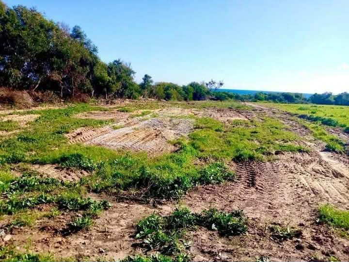 El Haouaria&nbsp;El Haouaria&nbsp;Terrain&nbsp;Terrain nu&nbsp;Commercial terrain hawaria