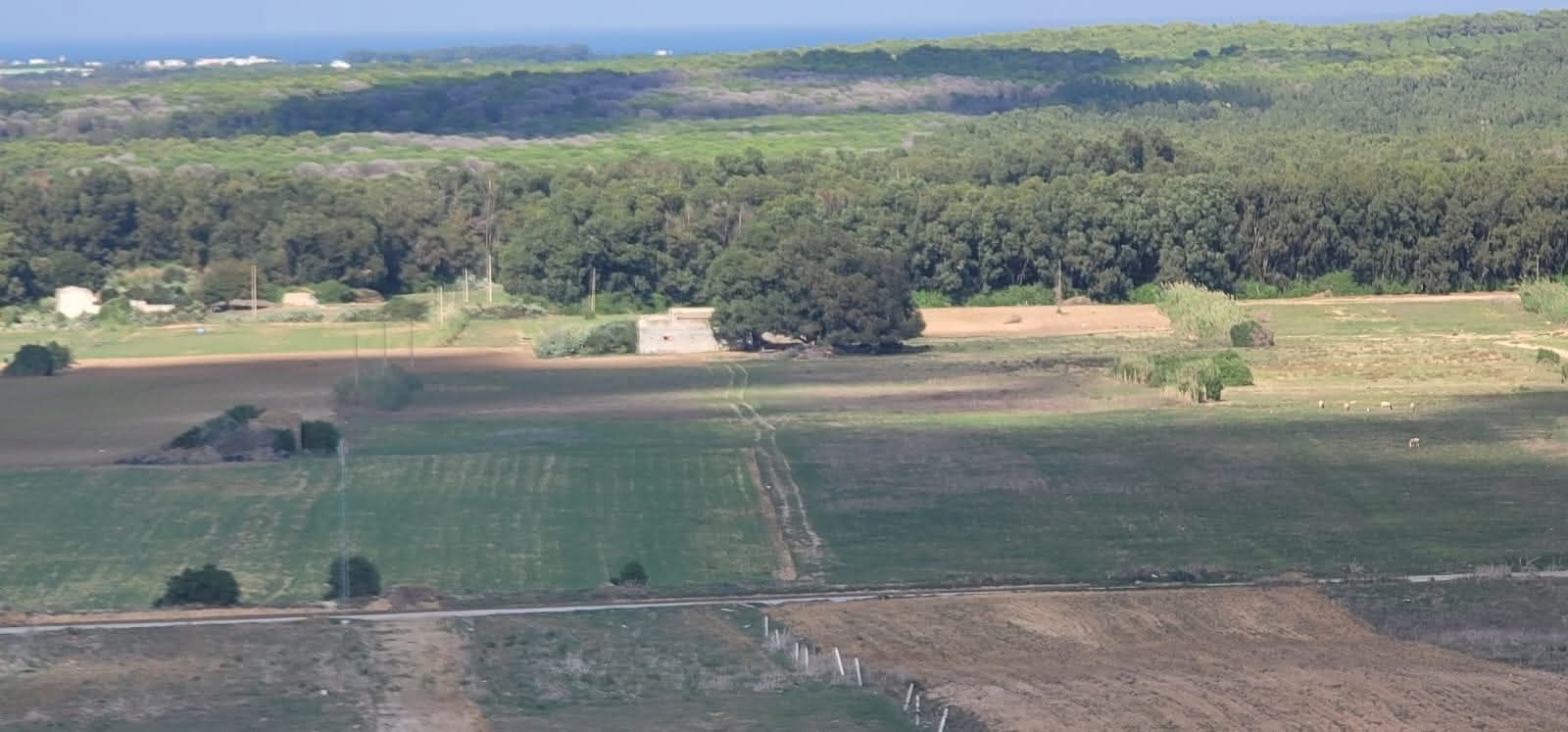 Kelibia&nbsp;Azmour&nbsp;Terrain&nbsp;Terrain agricole&nbsp;Occasion a ne pas rater