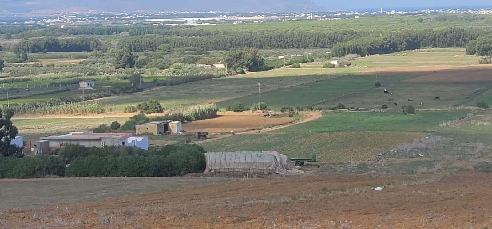 Kelibia&nbsp;Azmour&nbsp;Terrain&nbsp;Terrain agricole&nbsp;Occasion a ne pas rater