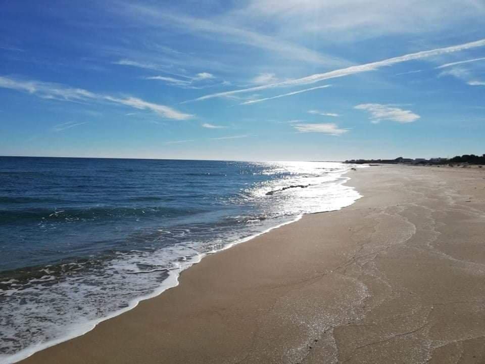 El Haouaria&nbsp;El Haouaria&nbsp;Terrain&nbsp;Terrain nu&nbsp;Des terrains � elhaouaria chtt kebli